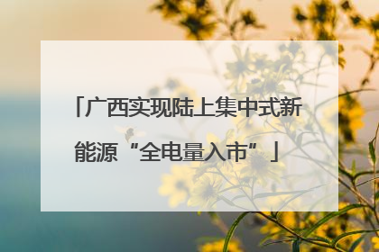 广西实现陆上集中式新能源“全电量入市”